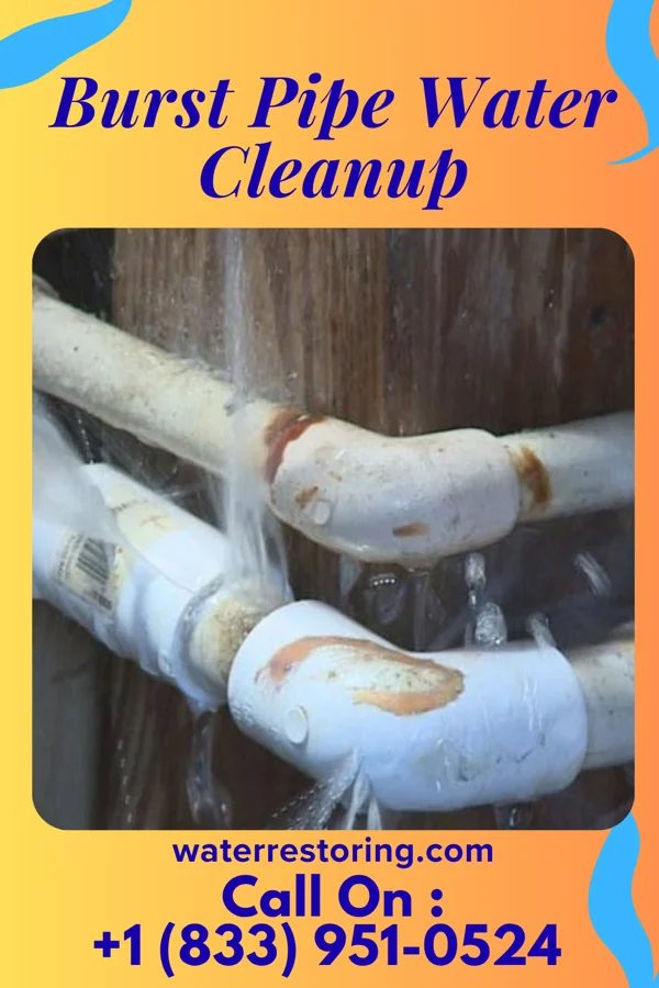 Burst Pipe Water Cleanup in Brentwood, MD