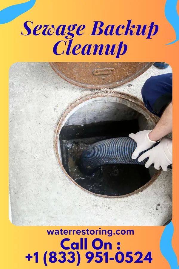 Sewage Backup Cleanup in Brentwood, MD