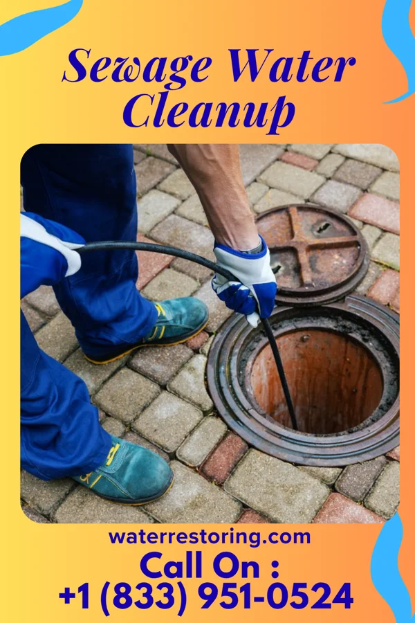 Sewage Water Cleanup in Brentwood, MD