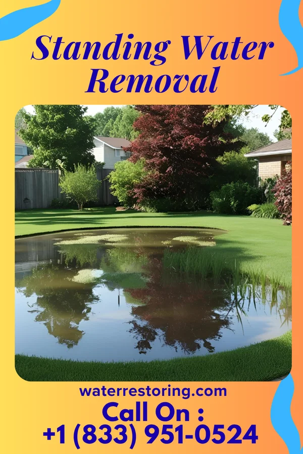 Standing Water Removal in Brentwood, MD